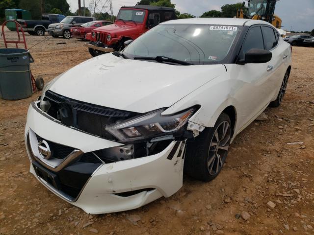 Photo 1 VIN: 1N4AA6AP8GC436089 - NISSAN MAXIMA 3.5 