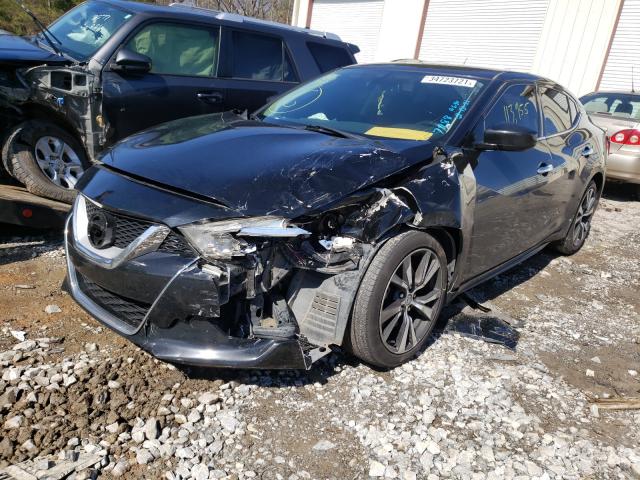 Photo 1 VIN: 1N4AA6AP8GC437288 - NISSAN MAXIMA 3.5 