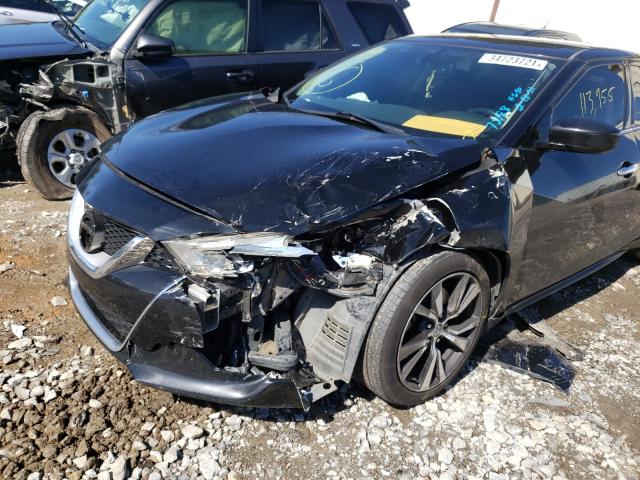 Photo 8 VIN: 1N4AA6AP8GC437288 - NISSAN MAXIMA 3.5 