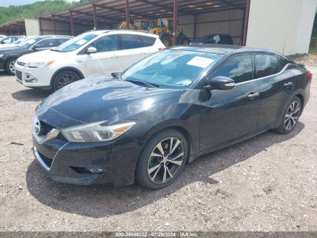 Photo 1 VIN: 1N4AA6AP8GC902183 - NISSAN MAXIMA 