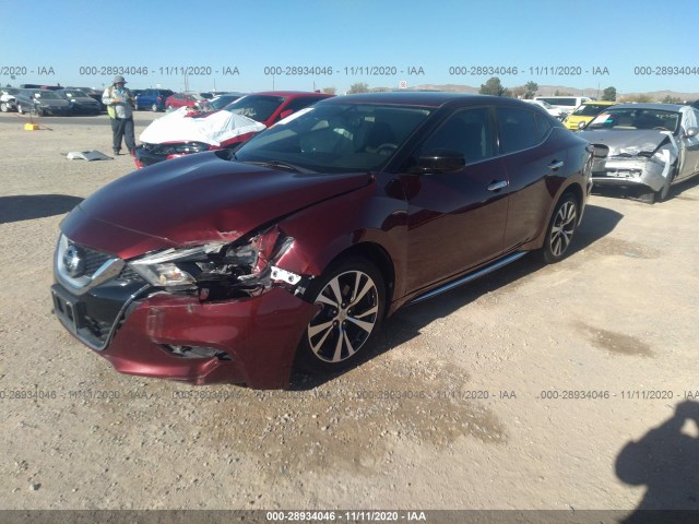 Photo 1 VIN: 1N4AA6AP8GC902362 - NISSAN MAXIMA 