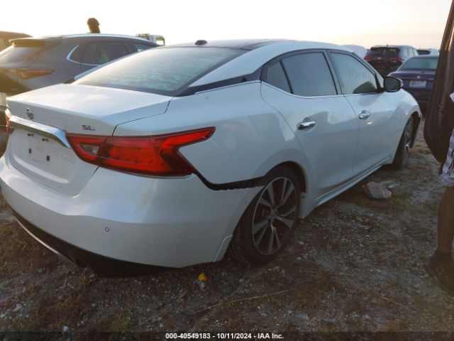 Photo 3 VIN: 1N4AA6AP8GC905584 - NISSAN MAXIMA 