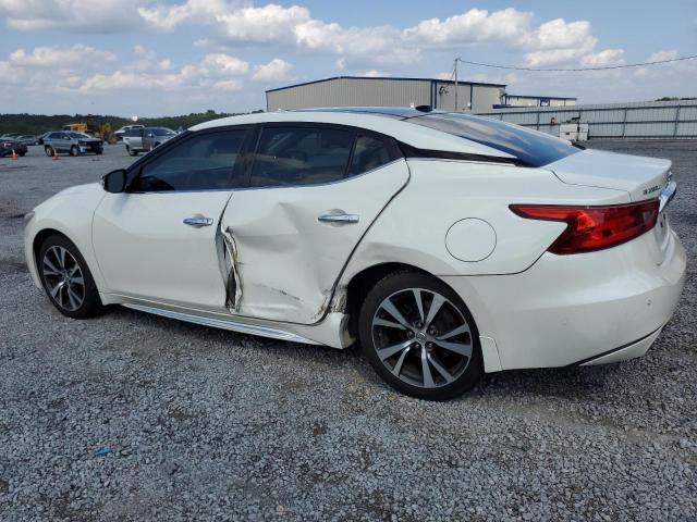 Photo 1 VIN: 1N4AA6AP8GC905939 - NISSAN MAXIMA 3.5 