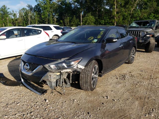 Photo 1 VIN: 1N4AA6AP8HC366904 - NISSAN MAXIMA 3.5 