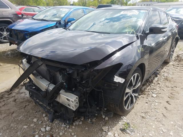 Photo 1 VIN: 1N4AA6AP8HC375053 - NISSAN MAXIMA 3.5 