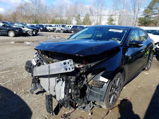 Photo 1 VIN: 1N4AA6AP8HC391303 - NISSAN MAXIMA 3.5 