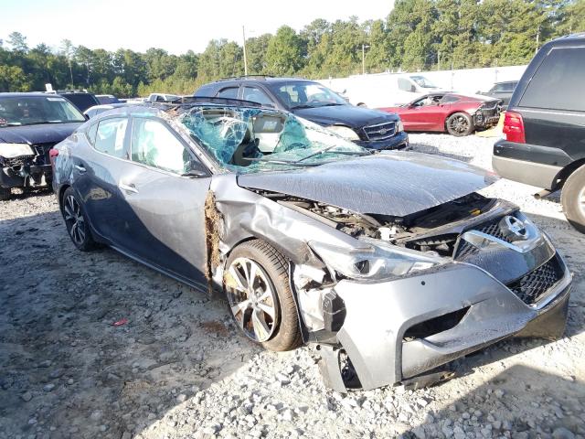 Photo 0 VIN: 1N4AA6AP8HC397344 - NISSAN MAXIMA 3.5 