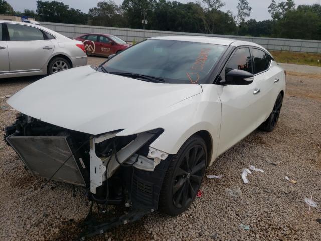 Photo 1 VIN: 1N4AA6AP8HC408455 - NISSAN MAXIMA 3.5 