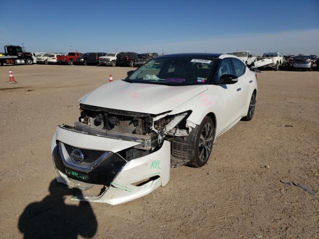 Photo 1 VIN: 1N4AA6AP8HC428804 - NISSAN MAXIMA 3.5 