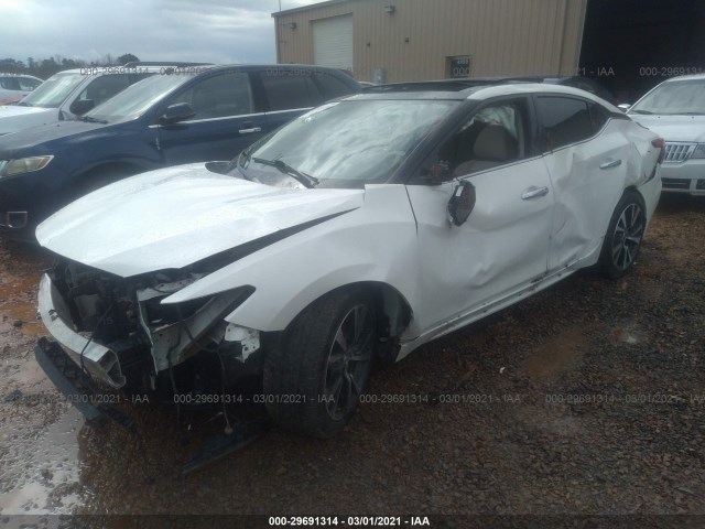 Photo 1 VIN: 1N4AA6AP8HC434392 - NISSAN MAXIMA 