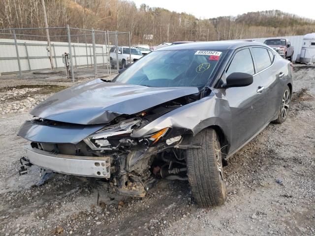 Photo 1 VIN: 1N4AA6AP8HC438605 - NISSAN MAXIMA 3.5 