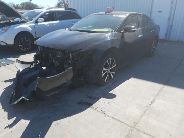 Photo 1 VIN: 1N4AA6AP8HC442976 - NISSAN MAXIMA 3.5 