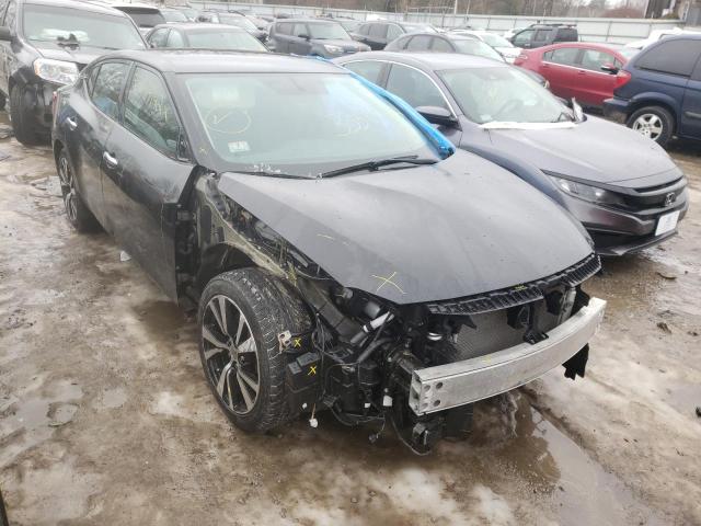 Photo 8 VIN: 1N4AA6AP8JC366021 - NISSAN MAXIMA 3.5 