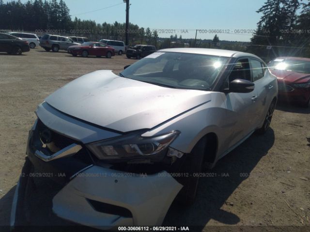 Photo 1 VIN: 1N4AA6AP8JC381490 - NISSAN MAXIMA 