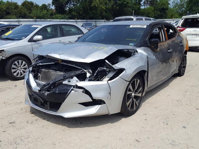 Photo 1 VIN: 1N4AA6AP9GC391289 - NISSAN MAXIMA 3.5 