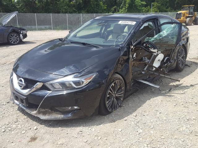 Photo 1 VIN: 1N4AA6AP9GC421133 - NISSAN MAXIMA 3.5 