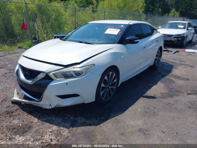 Photo 1 VIN: 1N4AA6AP9GC423206 - NISSAN MAXIMA 