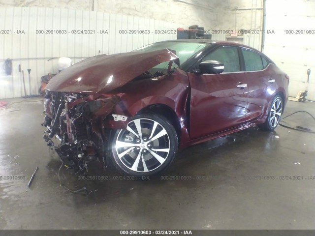 Photo 1 VIN: 1N4AA6AP9GC433931 - NISSAN MAXIMA 