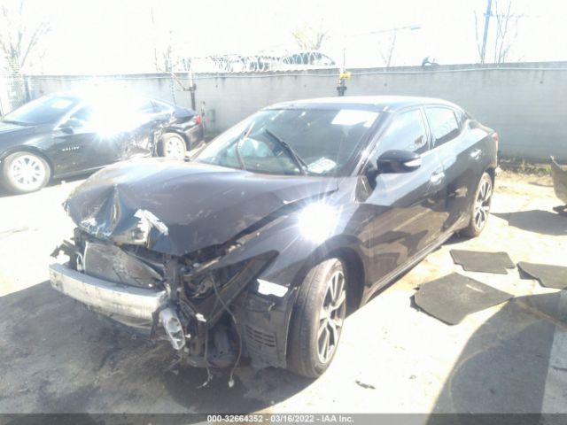 Photo 1 VIN: 1N4AA6AP9GC438028 - NISSAN MAXIMA 