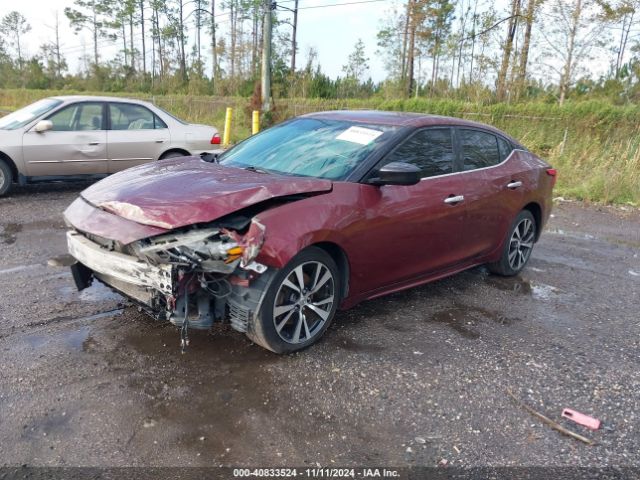 Photo 1 VIN: 1N4AA6AP9GC441026 - NISSAN MAXIMA 