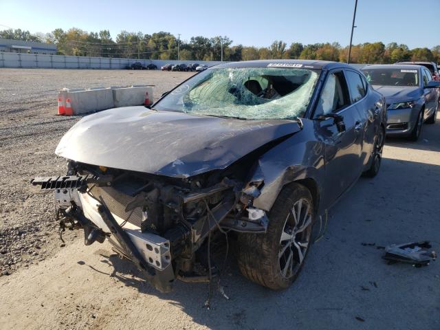 Photo 1 VIN: 1N4AA6AP9GC447991 - NISSAN MAXIMA 3.5 