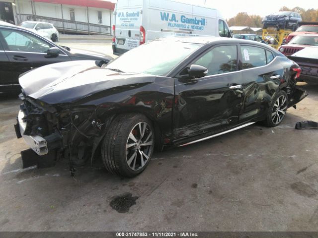 Photo 1 VIN: 1N4AA6AP9HC365390 - NISSAN MAXIMA 