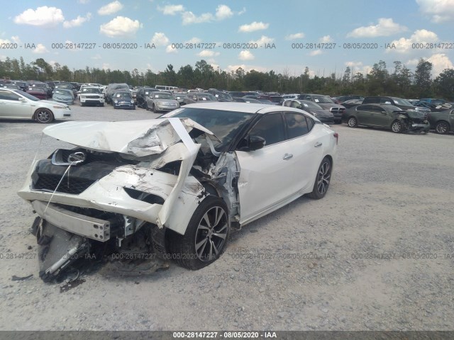 Photo 1 VIN: 1N4AA6AP9HC380956 - NISSAN MAXIMA 