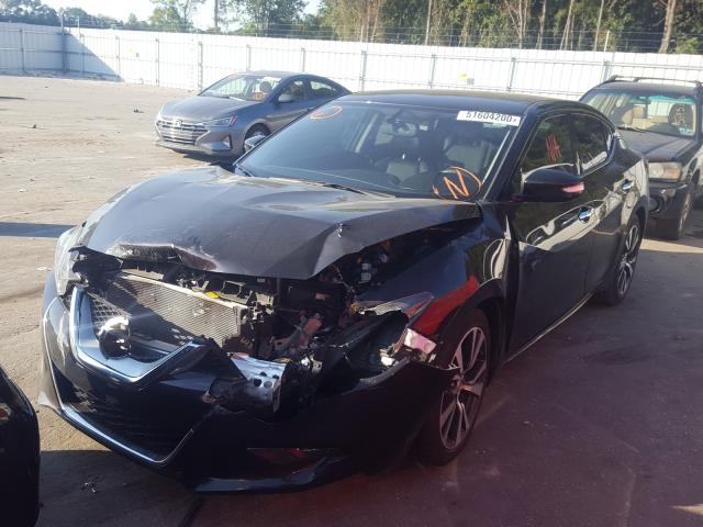 Photo 1 VIN: 1N4AA6AP9HC393299 - NISSAN MAXIMA 3.5 