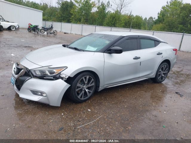 Photo 1 VIN: 1N4AA6AP9HC397398 - NISSAN MAXIMA 