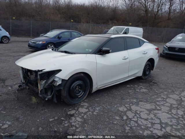 Photo 1 VIN: 1N4AA6AP9HC415785 - NISSAN MAXIMA 