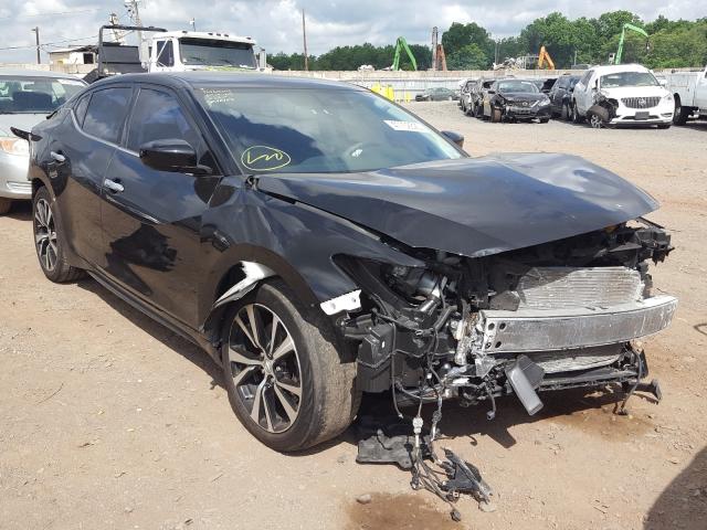 Photo 0 VIN: 1N4AA6AP9HC442727 - NISSAN MAXIMA 3.5 