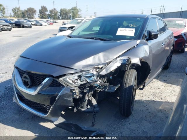 Photo 1 VIN: 1N4AA6AP9HC449614 - NISSAN MAXIMA 