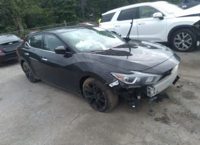 Photo 0 VIN: 1N4AA6AP9HC449886 - NISSAN MAXIMA 