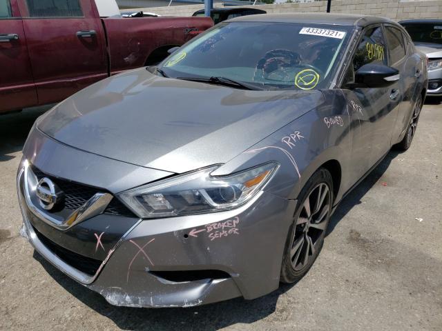 Photo 1 VIN: 1N4AA6AP9JC378081 - NISSAN MAXIMA 3.5 