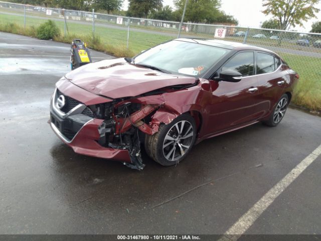 Photo 1 VIN: 1N4AA6AP9JC390117 - NISSAN MAXIMA 