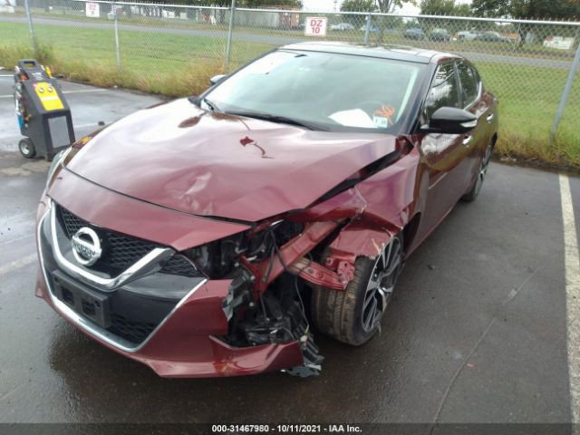 Photo 5 VIN: 1N4AA6AP9JC390117 - NISSAN MAXIMA 