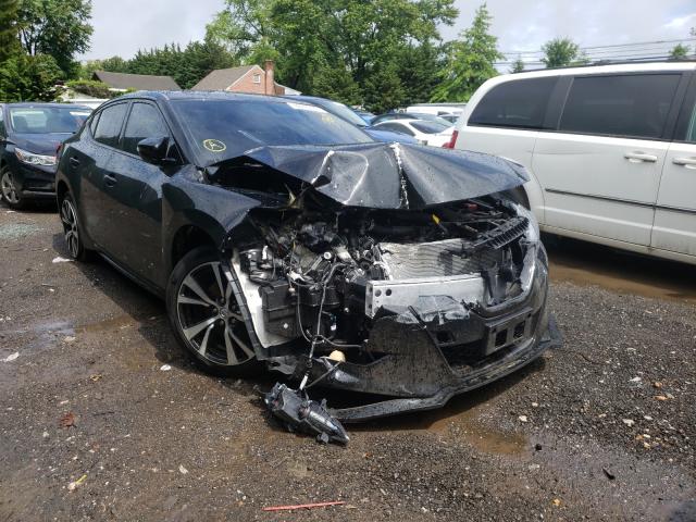 Photo 0 VIN: 1N4AA6AP9JC405991 - NISSAN MAXIMA 3.5 