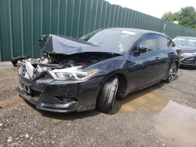 Photo 1 VIN: 1N4AA6AP9JC405991 - NISSAN MAXIMA 3.5 