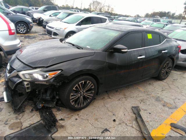 Photo 1 VIN: 1N4AA6APXGC383492 - NISSAN MAXIMA 