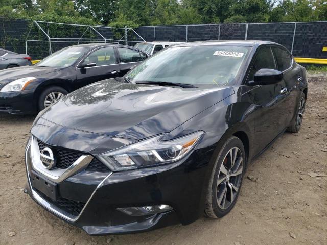 Photo 1 VIN: 1N4AA6APXGC397845 - NISSAN MAXIMA 3.5 