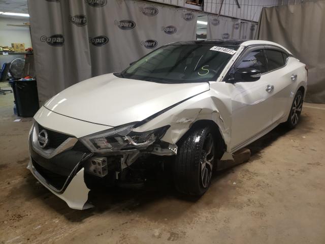 Photo 1 VIN: 1N4AA6APXGC399949 - NISSAN MAXIMA 3.5 