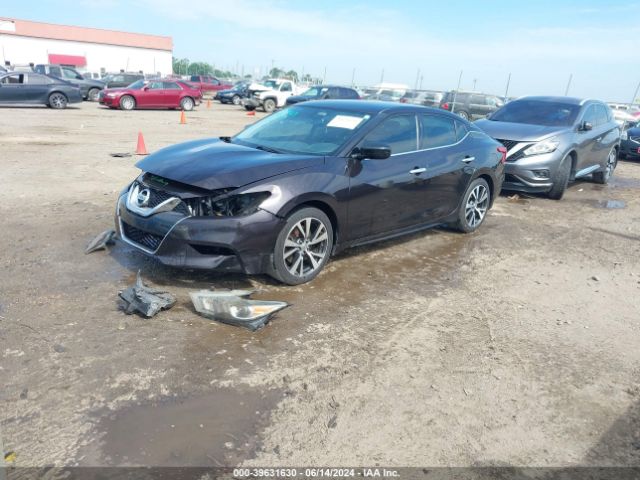 Photo 1 VIN: 1N4AA6APXGC410187 - NISSAN MAXIMA 