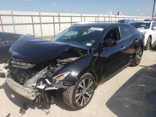 Photo 1 VIN: 1N4AA6APXGC416314 - NISSAN MAXIMA 3.5 