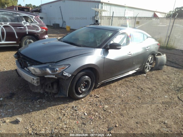 Photo 1 VIN: 1N4AA6APXGC433498 - NISSAN MAXIMA 