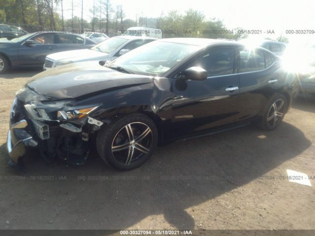 Photo 1 VIN: 1N4AA6APXGC439138 - NISSAN MAXIMA 