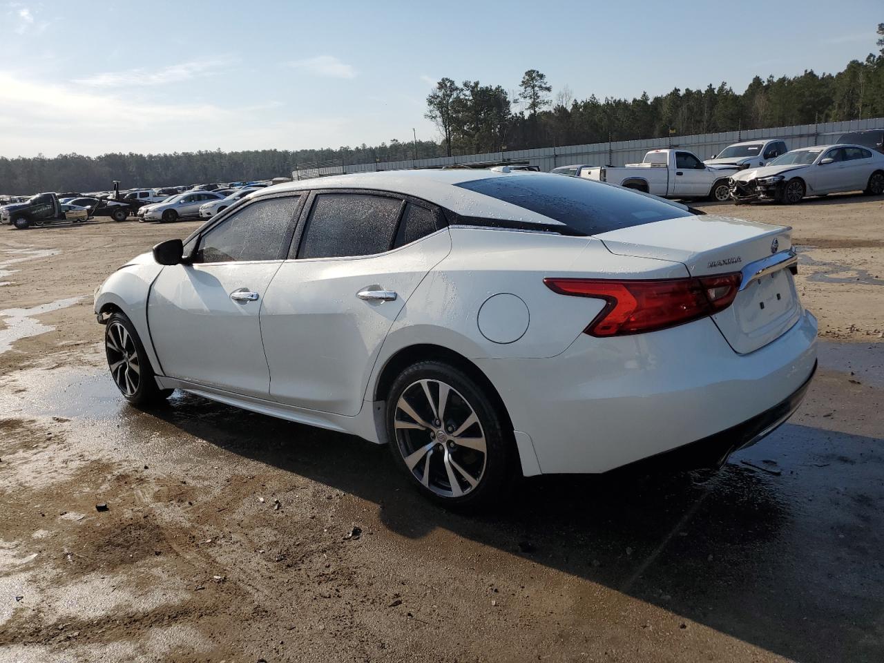 Photo 1 VIN: 1N4AA6APXHC364801 - NISSAN MAXIMA 