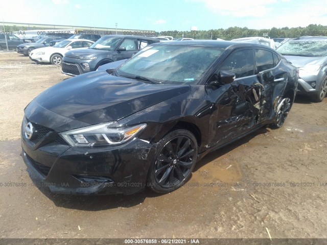 Photo 1 VIN: 1N4AA6APXHC365575 - NISSAN MAXIMA 