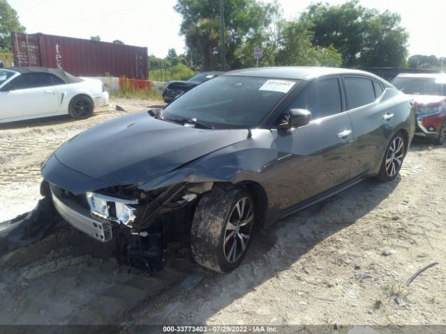 Photo 1 VIN: 1N4AA6APXHC370775 - NISSAN MAXIMA 