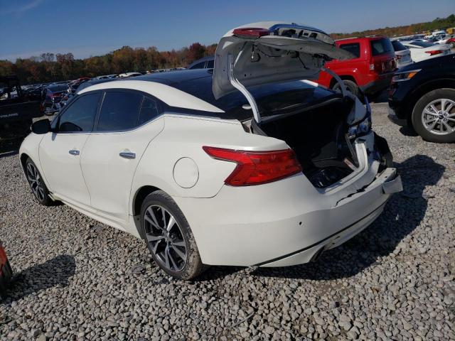 Photo 1 VIN: 1N4AA6APXHC374700 - NISSAN MAXIMA 