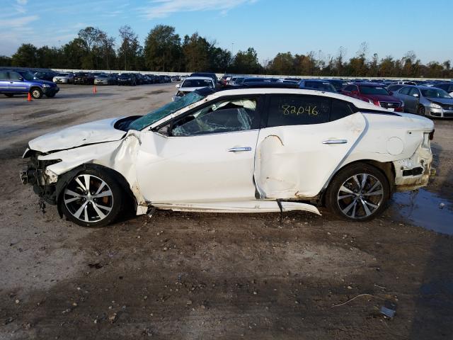 Photo 8 VIN: 1N4AA6APXHC385227 - NISSAN MAXIMA 3.5 